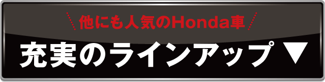 充実のラインアップ