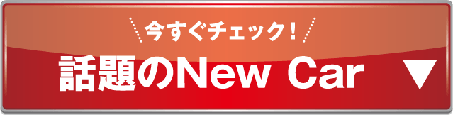 newN-BOX