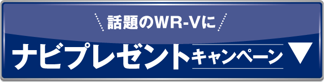 ナビプレゼント