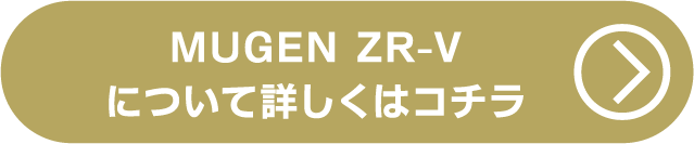 無限ZR-Vについて詳しくはコチラ
