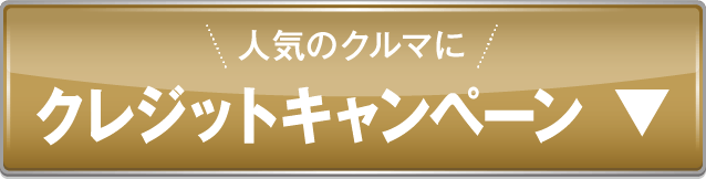 クレジットキャンペーンアンカー