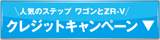 クレジットキャンペーンアンカー