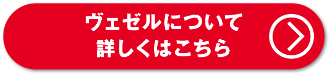VEZELについて詳しくはこちら