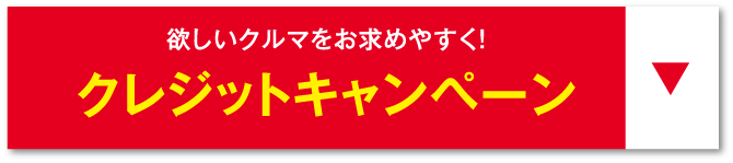 クレジットキャンペーンアンカー