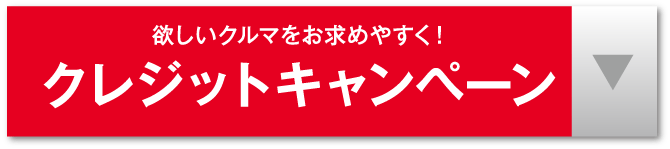 クレジットキャンペーン（アンカーリンク）