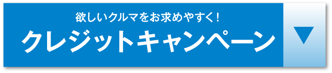 クレジットキャンペーンアンカー