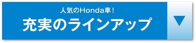 充実のラインアップアンカー